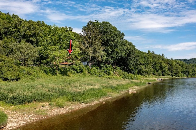 470 Truitt Rd, Pa, PA 16374 - water view with a forest