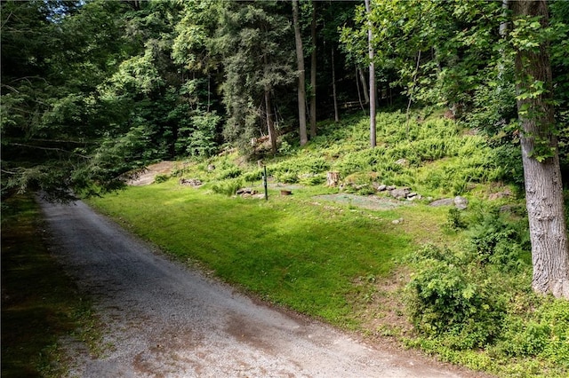 470 Truitt Rd, Pa, PA 16374 - view of road featuring a view of trees
