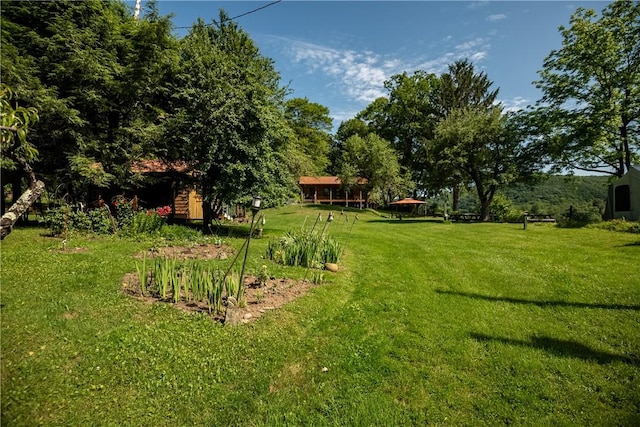 470 Truitt Rd, Pa, PA 16374 - view of green lawn