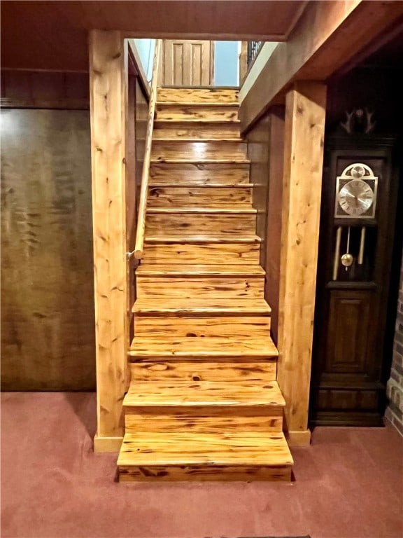 staircase with carpet