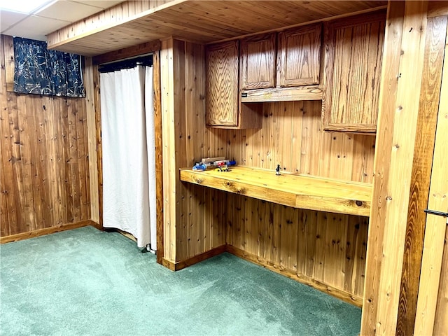 interior space featuring carpet floors and wooden walls