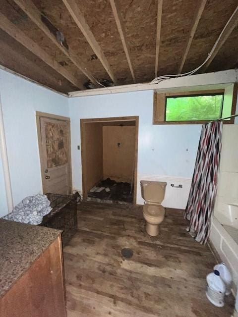 interior space featuring hardwood / wood-style floors, a bathing tub, and toilet