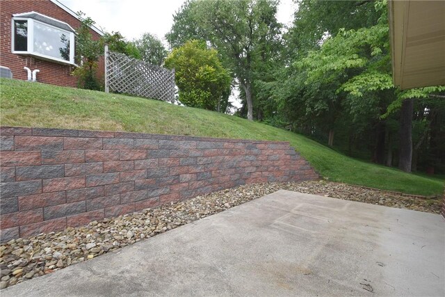 view of yard featuring a patio