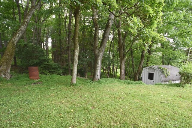 view of yard featuring a storage shed