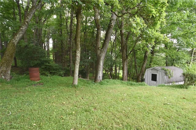 view of yard featuring an outbuilding and a shed