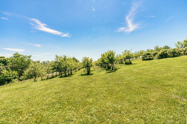 view of yard with a rural view