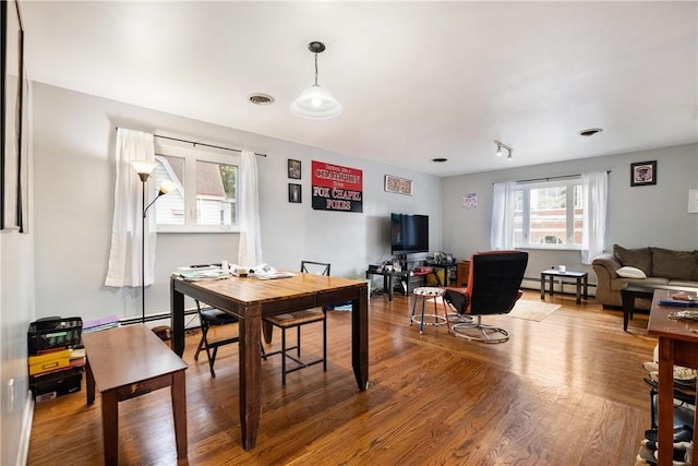 dining room featuring baseboard heating, a healthy amount of sunlight, and wood-type flooring