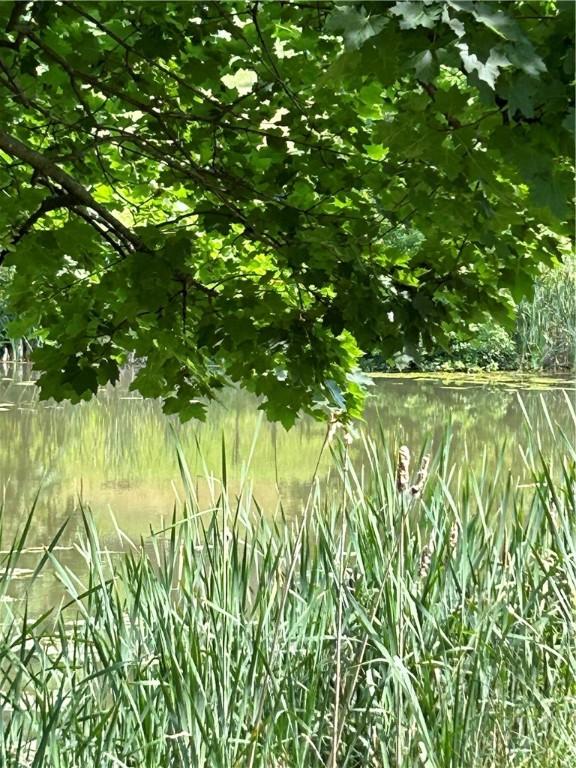 view of landscape with a water view