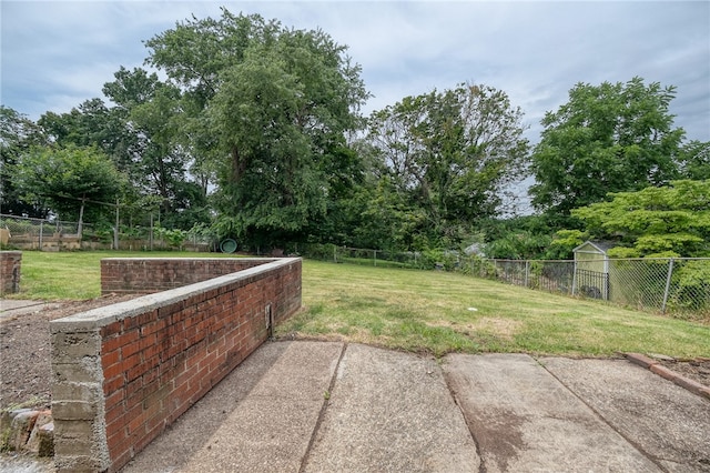 view of yard featuring a patio area