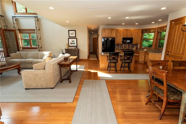 living room featuring light hardwood / wood-style floors