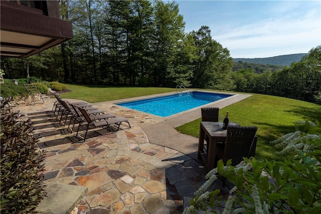 view of pool featuring a patio area and a yard