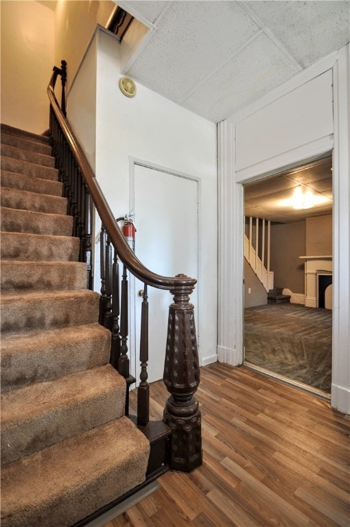 staircase featuring carpet flooring