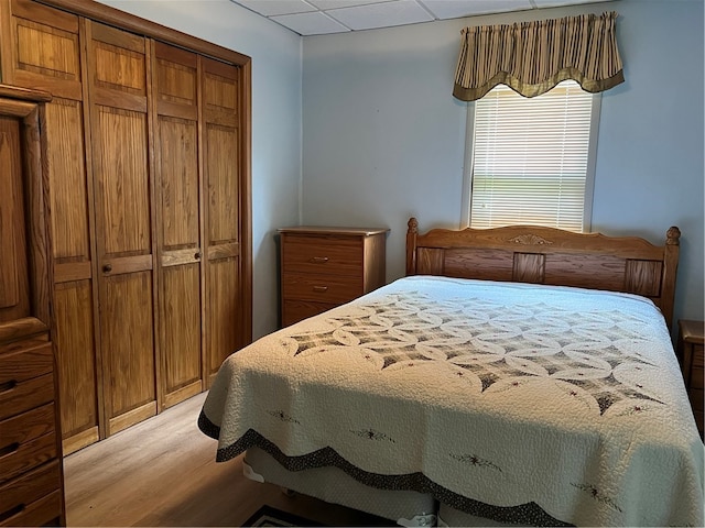 bedroom with a closet, light wood-type flooring, and a paneled ceiling