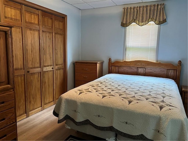 bedroom with light wood-style flooring, a paneled ceiling, and a closet