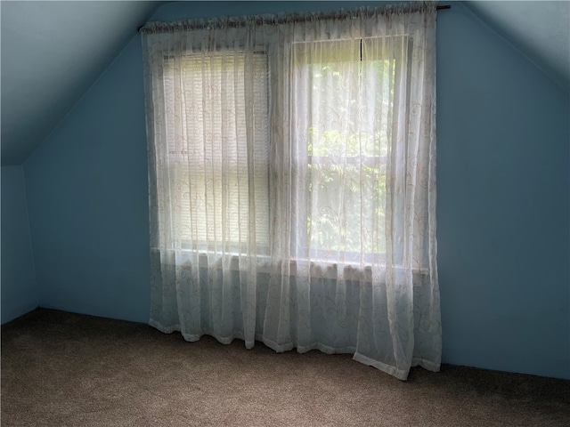 bonus room featuring vaulted ceiling and carpet flooring