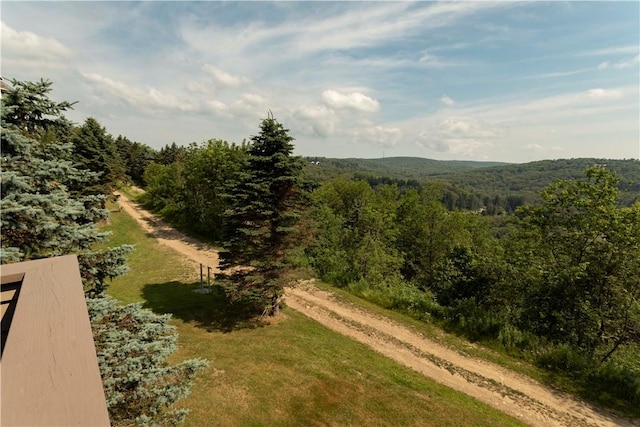 aerial view with a forest view