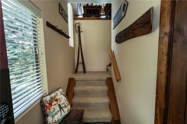 stairs with plenty of natural light