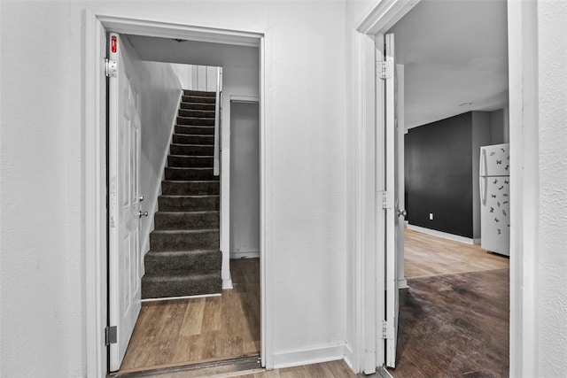 stairs with hardwood / wood-style flooring