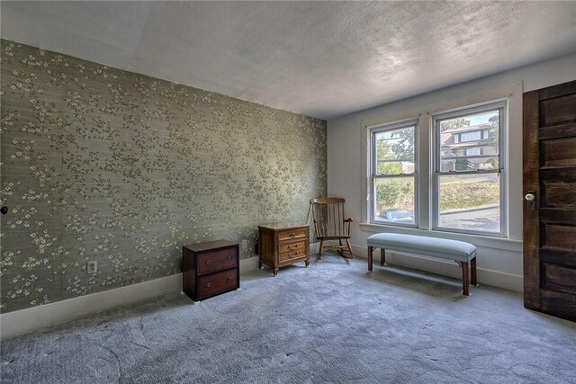 sitting room with carpet flooring and a textured ceiling