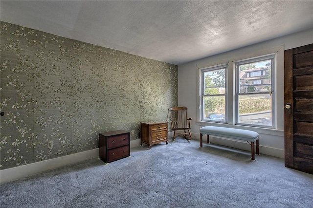 sitting room featuring carpet and a textured ceiling