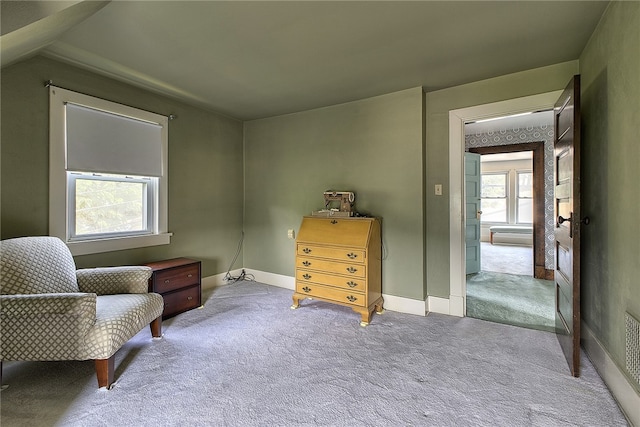 living area featuring carpet flooring