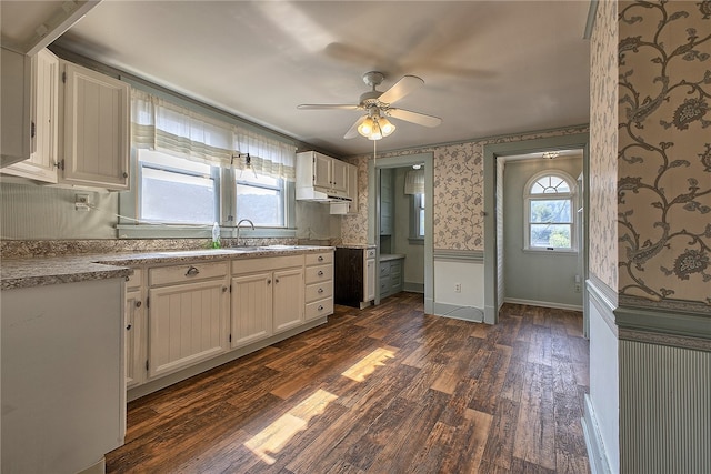 kitchen featuring white cabinets, ceiling fan, and dark hardwood / wood-style flooring