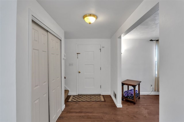 entryway featuring dark wood-type flooring