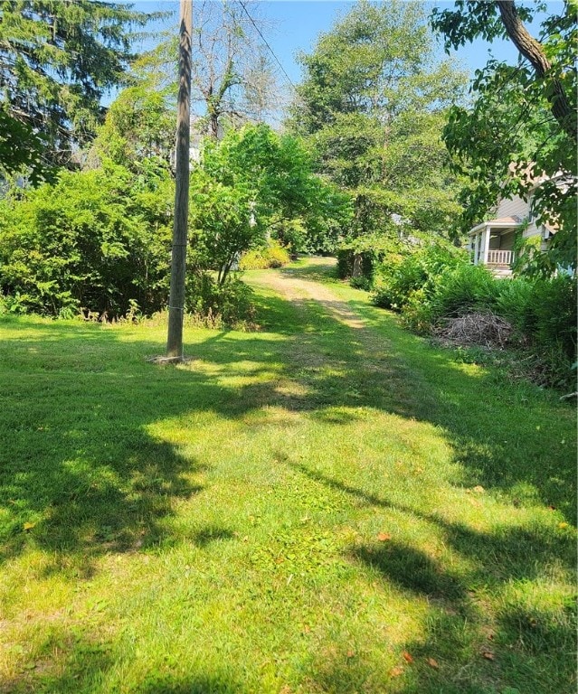 view of yard