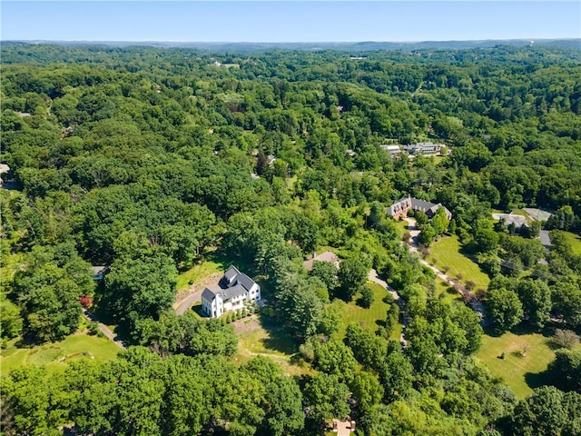 107 Nantucket Dr, Fox Chapel, PA 15238 - aerial view of a forest