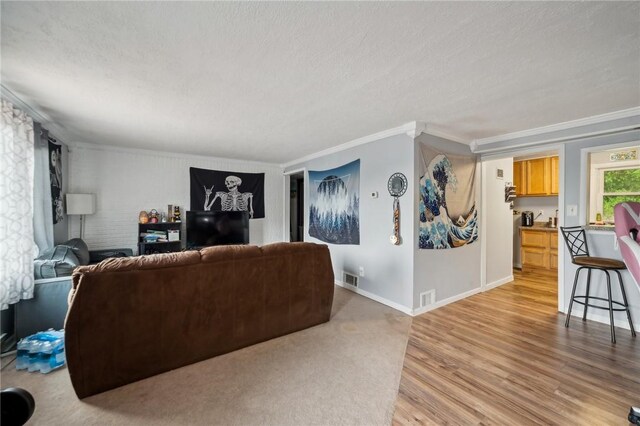 living room with crown molding, light hardwood / wood-style flooring, and a textured ceiling