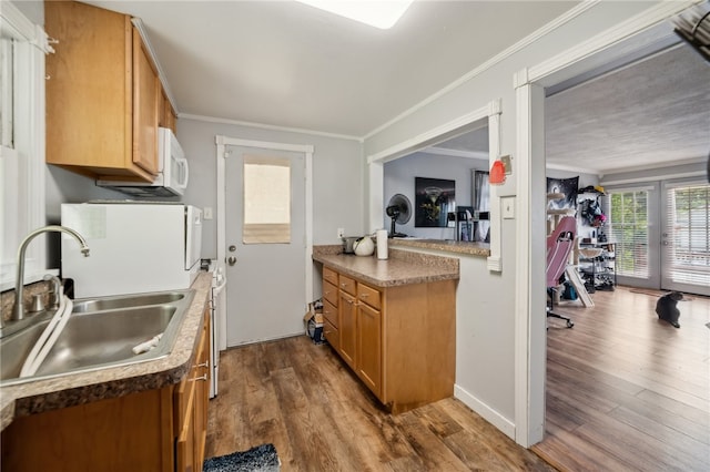 kitchen with hardwood / wood-style floors, sink, and ornamental molding