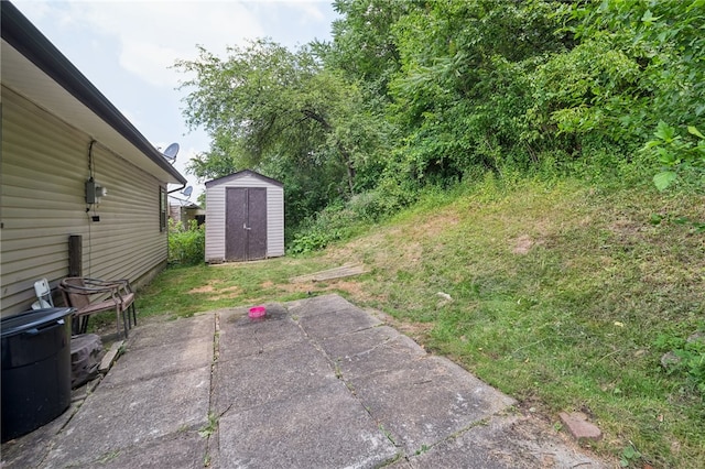 view of yard featuring a storage unit and a patio area