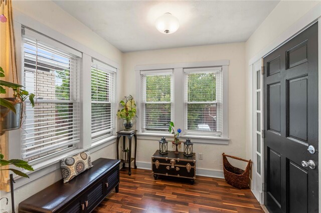 sitting room featuring dark hardwood / wood-style flooring