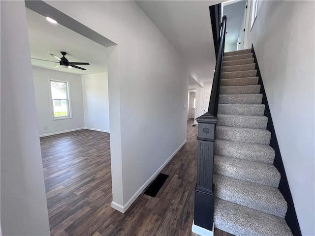 stairway featuring ceiling fan and hardwood / wood-style floors