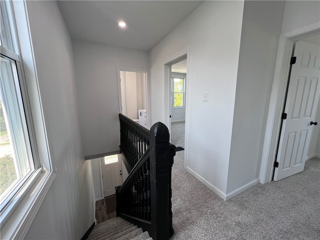 stairway with carpet floors and a healthy amount of sunlight