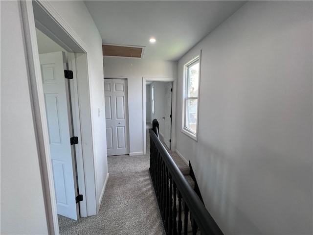 hallway featuring carpet floors