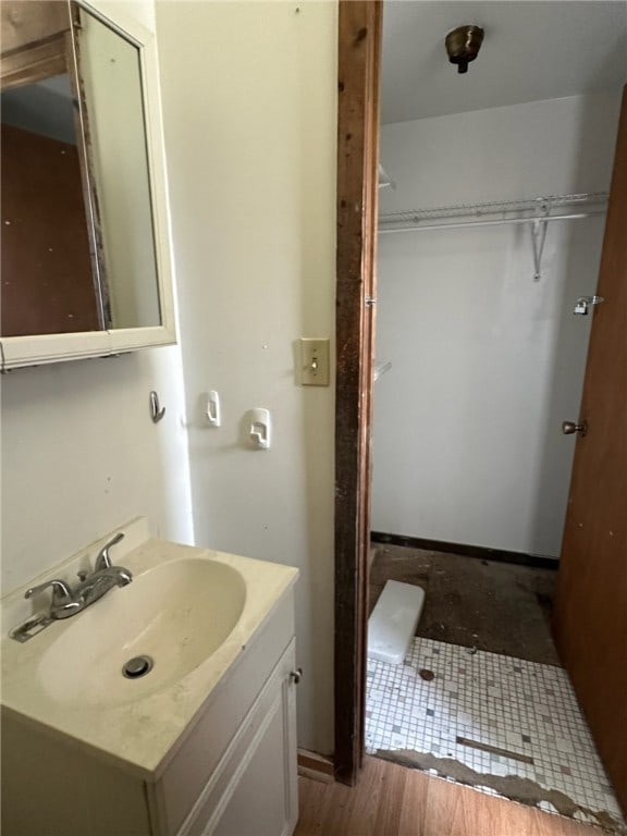 bathroom featuring hardwood / wood-style flooring and oversized vanity