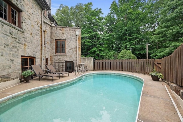 view of swimming pool with a patio