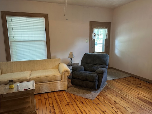 living room featuring light hardwood / wood-style flooring