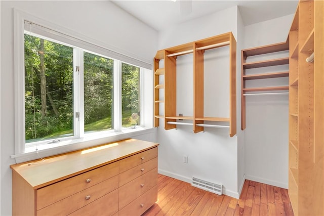 spacious closet featuring light wood-type flooring