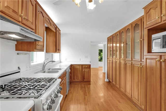 kitchen featuring a healthy amount of sunlight, sink, stainless steel appliances, and light wood-type flooring