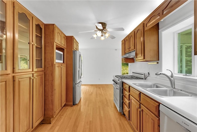 kitchen featuring appliances with stainless steel finishes, light hardwood / wood-style flooring, ceiling fan, and sink