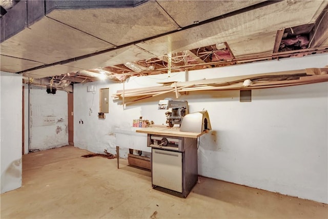 basement featuring a workshop area and electric panel