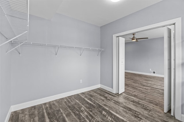 spacious closet with ceiling fan and dark hardwood / wood-style floors