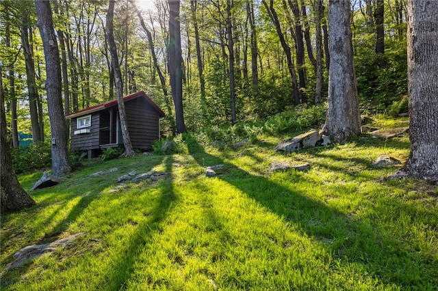 view of yard featuring a shed