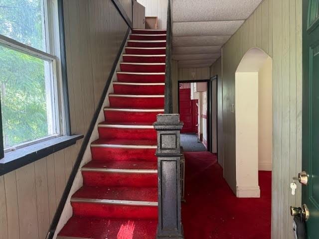 stairway featuring carpet floors and wood walls