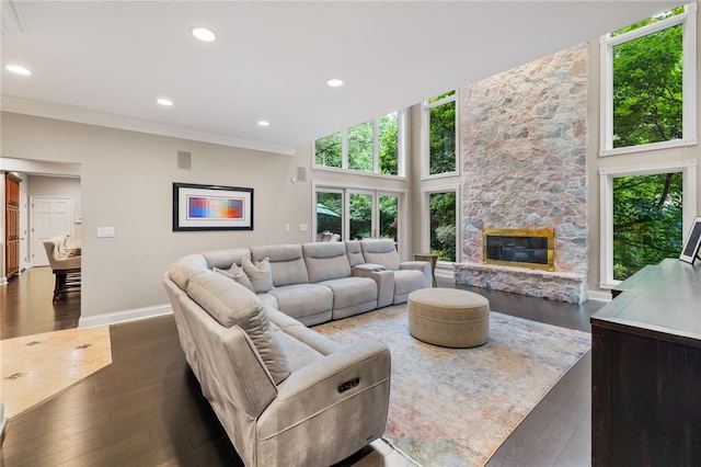 living room with a fireplace, a high ceiling, dark hardwood / wood-style flooring, and crown molding