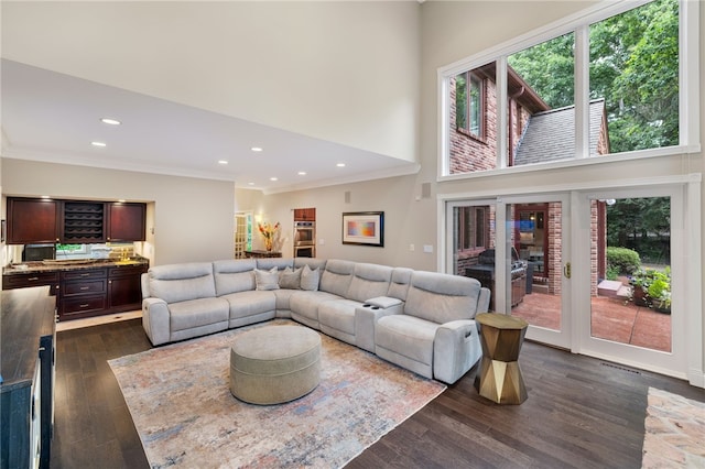 living room featuring ornamental molding, a towering ceiling, and dark wood-type flooring