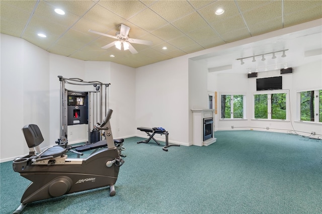 exercise area featuring carpet flooring, ceiling fan, and rail lighting