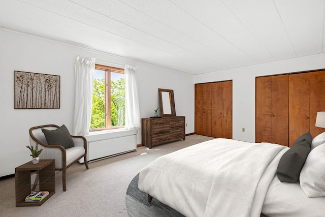 carpeted bedroom with two closets